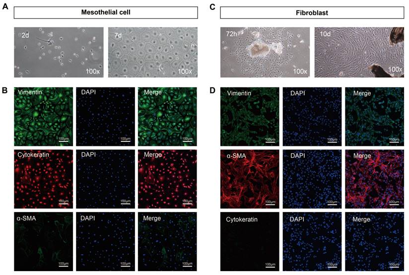 Int J Med Sci Image