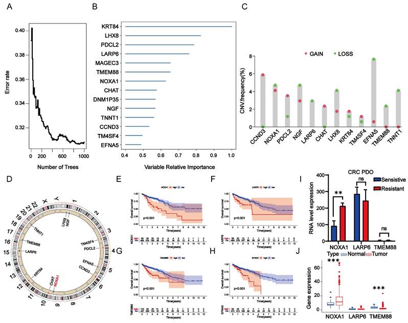 Int J Med Sci Image