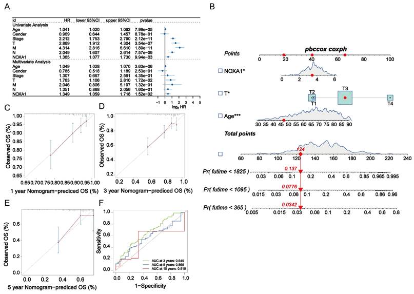 Int J Med Sci Image