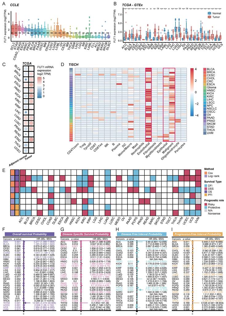 Int J Med Sci Image