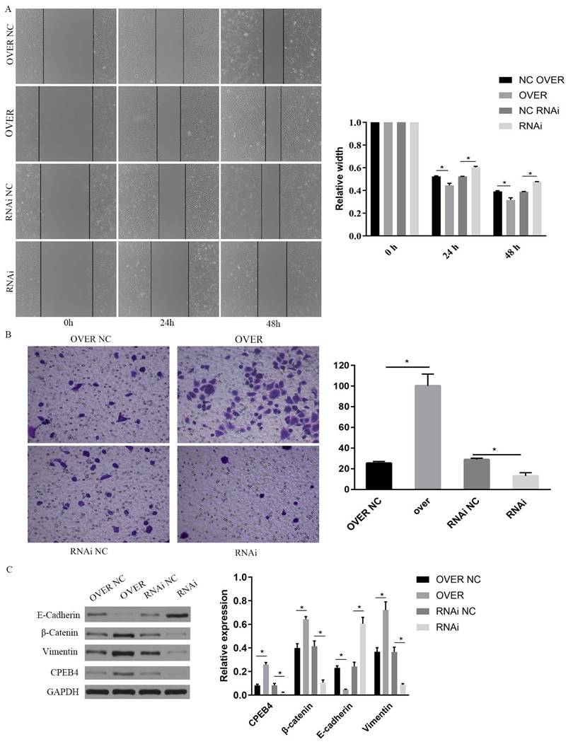 Int J Med Sci Image