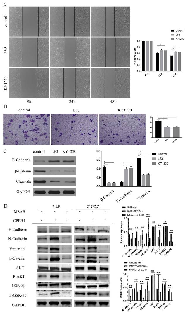 Int J Med Sci Image