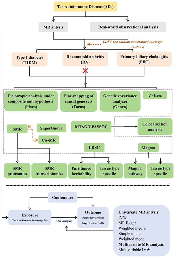 Int J Med Sci Image