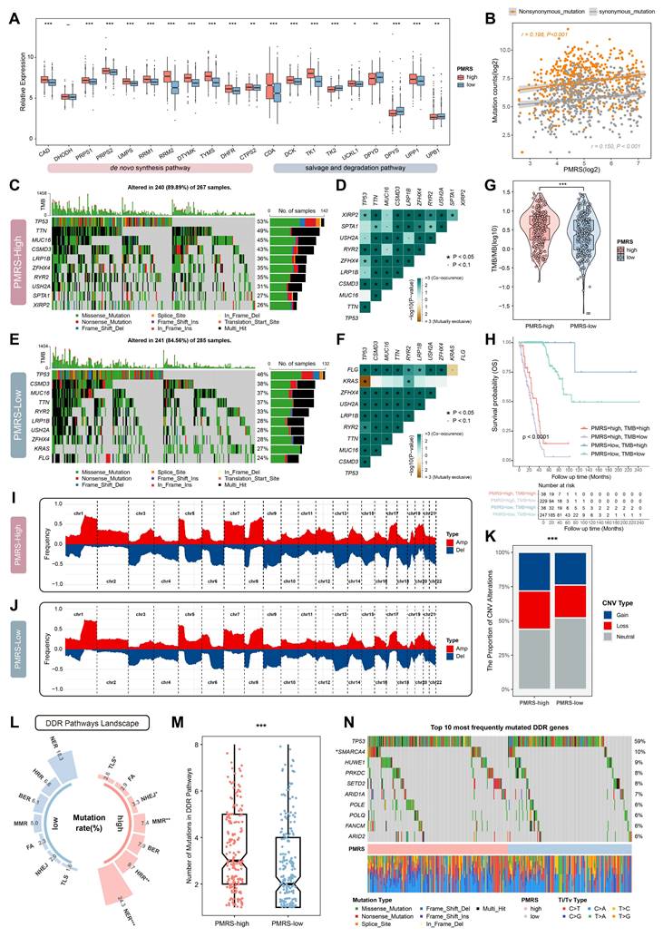 Int J Med Sci Image