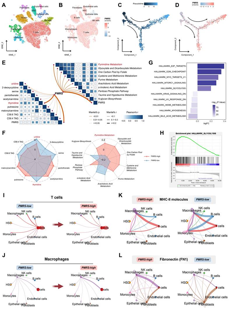 Int J Med Sci Image