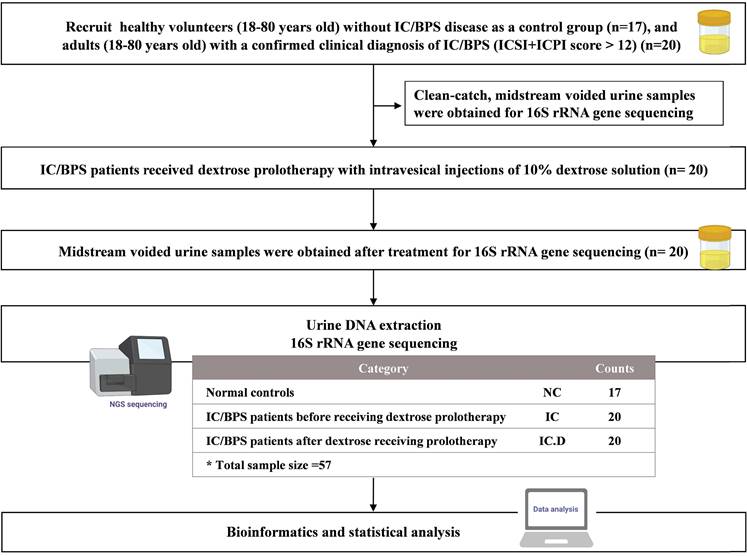 Int J Med Sci Image