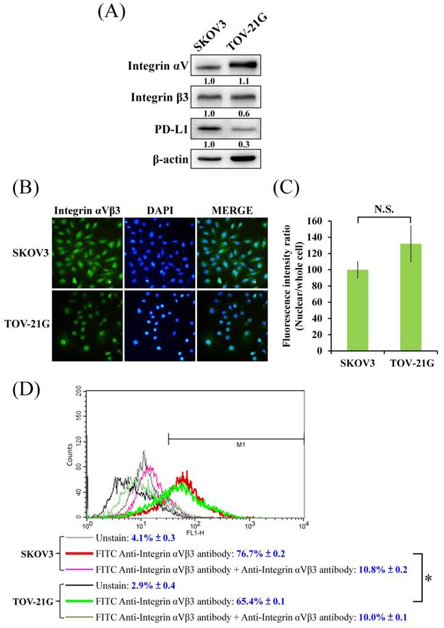 Int J Med Sci Image