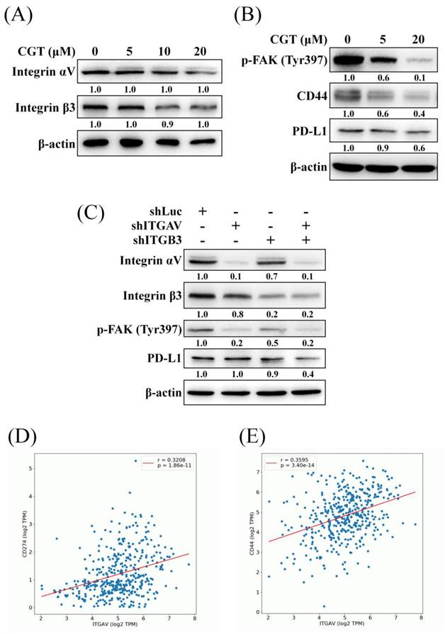 Int J Med Sci Image