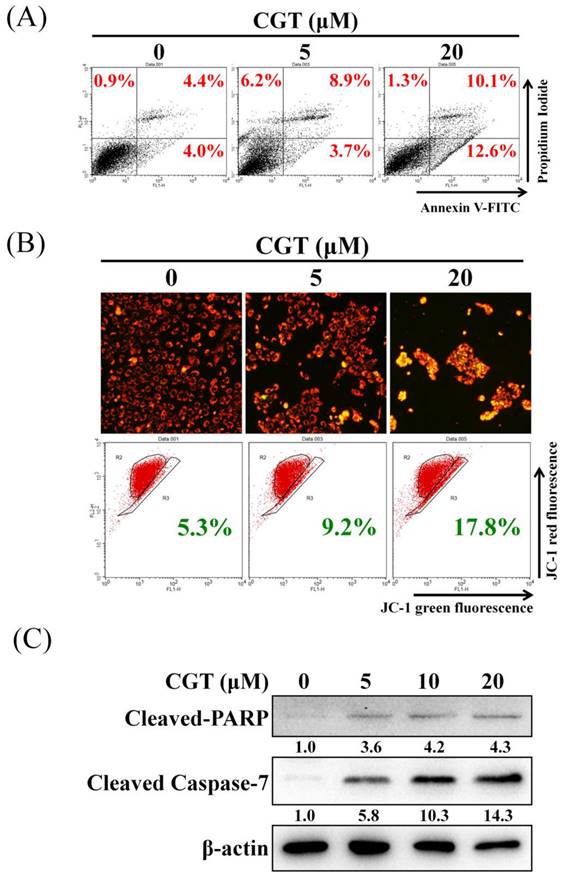 Int J Med Sci Image