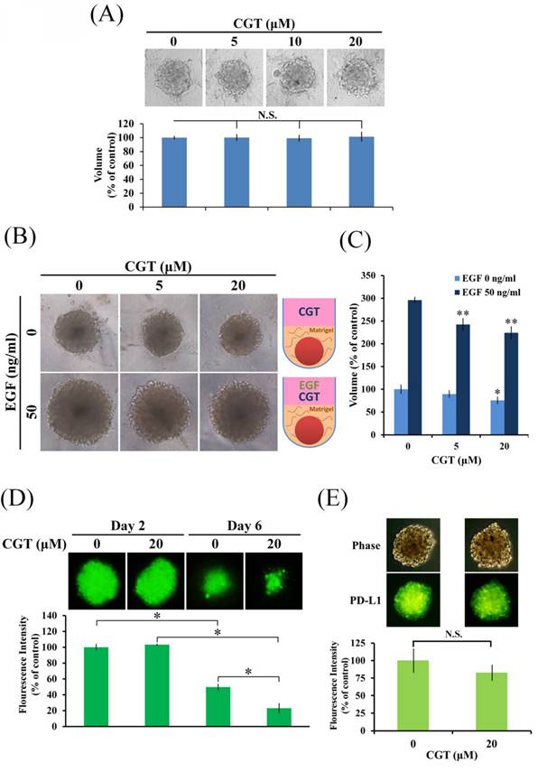 Int J Med Sci Image