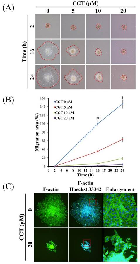 Int J Med Sci Image