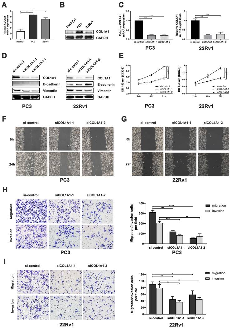 Int J Med Sci Image