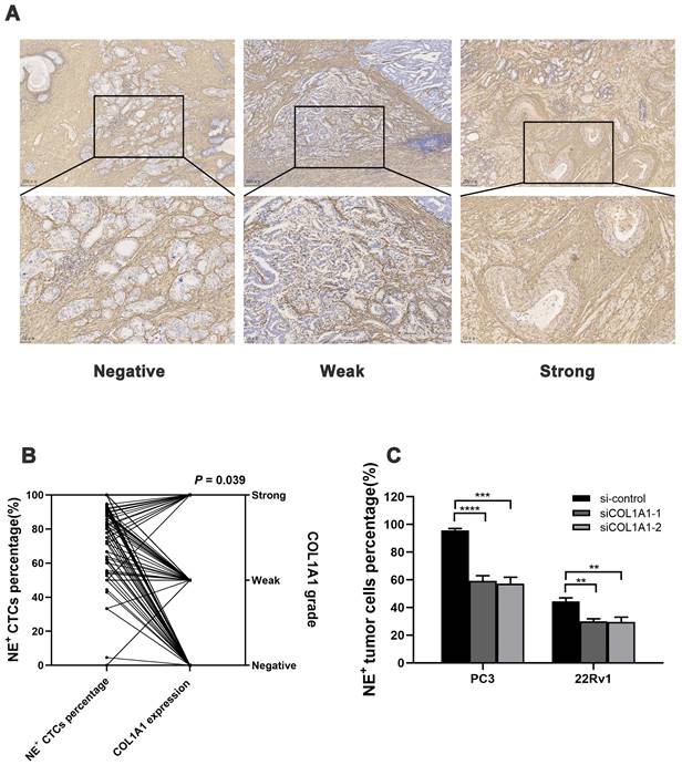 Int J Med Sci Image