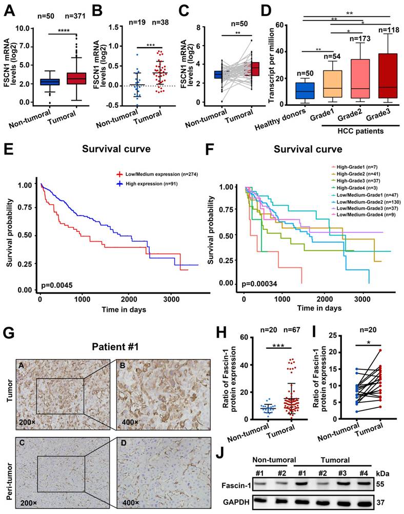 Int J Med Sci Image