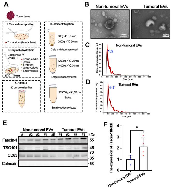 Int J Med Sci Image