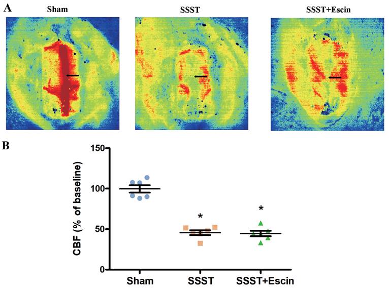 Int J Med Sci Image