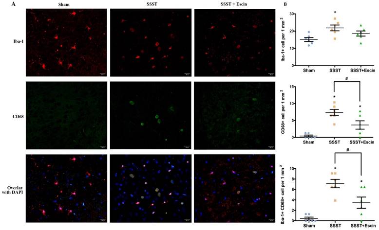 Int J Med Sci Image