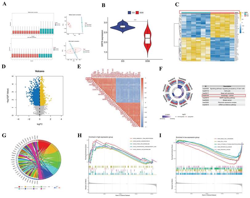 Int J Med Sci Image