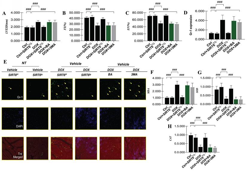 Int J Med Sci Image