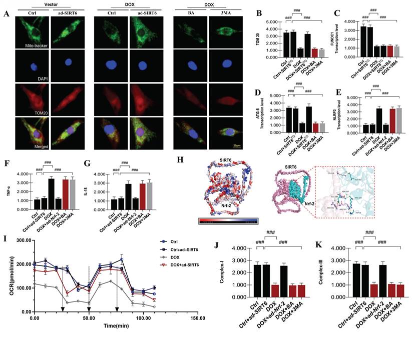 Int J Med Sci Image