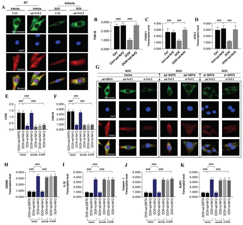 Int J Med Sci Image