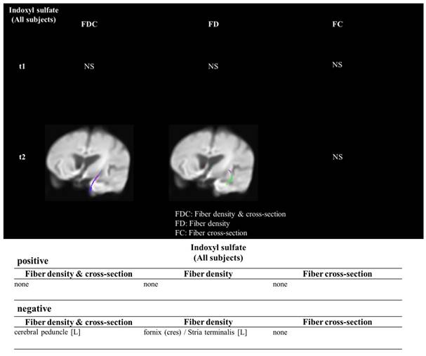 Int J Med Sci Image