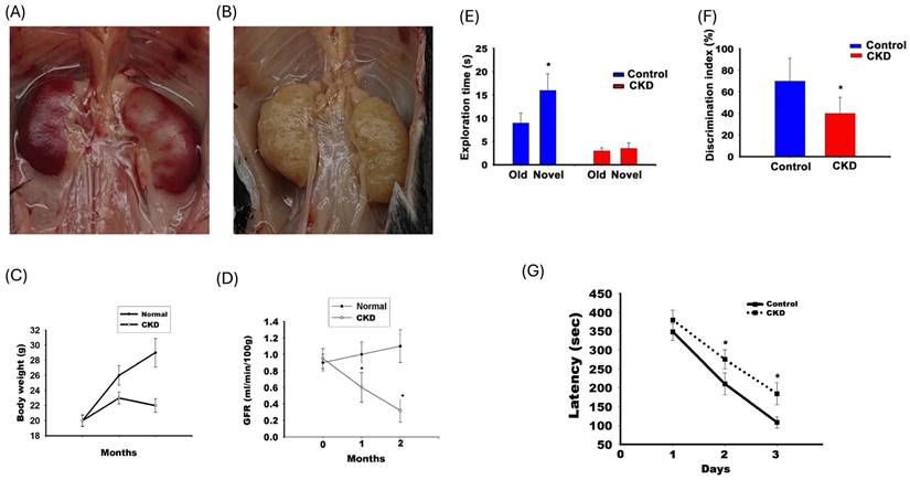 Int J Med Sci Image