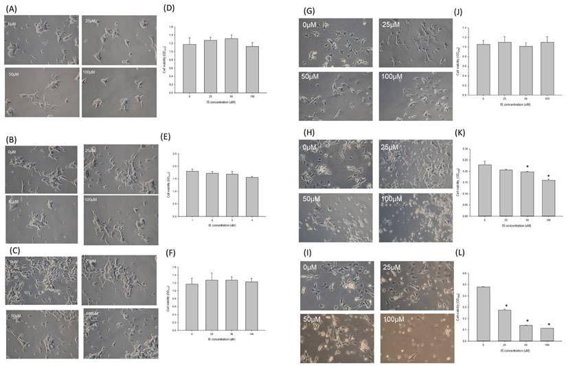 Int J Med Sci Image