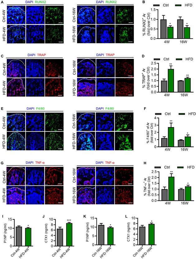 Int J Med Sci Image