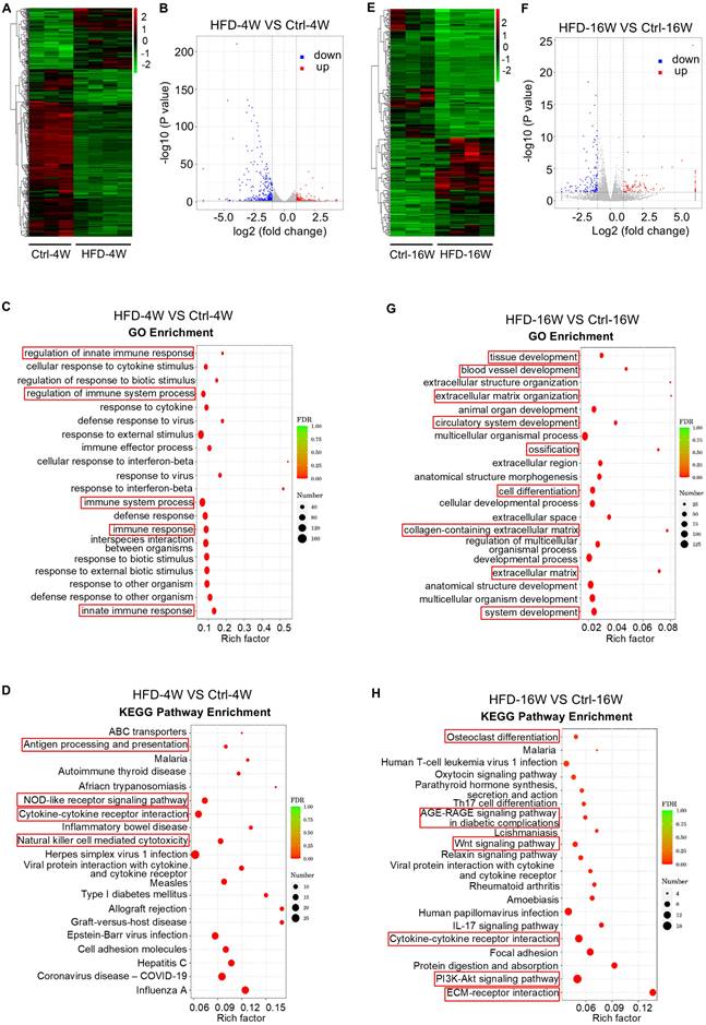 Int J Med Sci Image