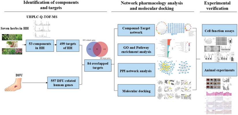 Int J Med Sci Image