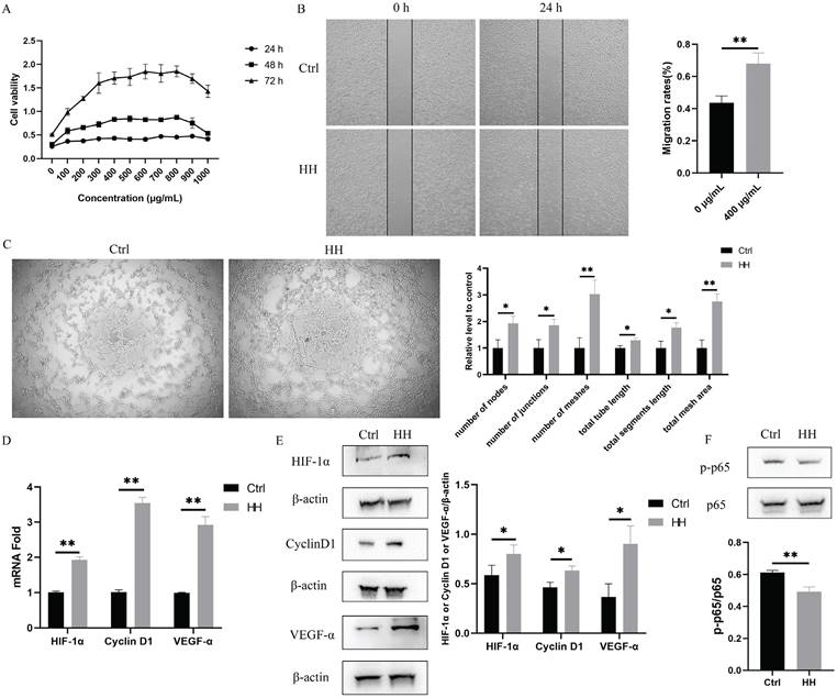 Int J Med Sci Image