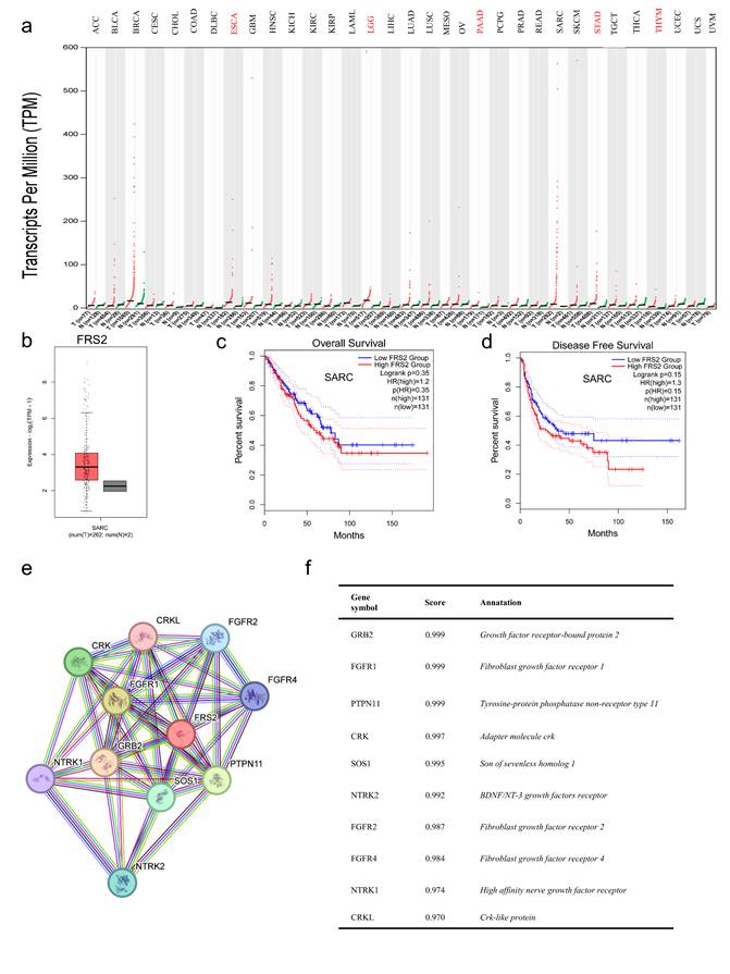 Int J Med Sci Image