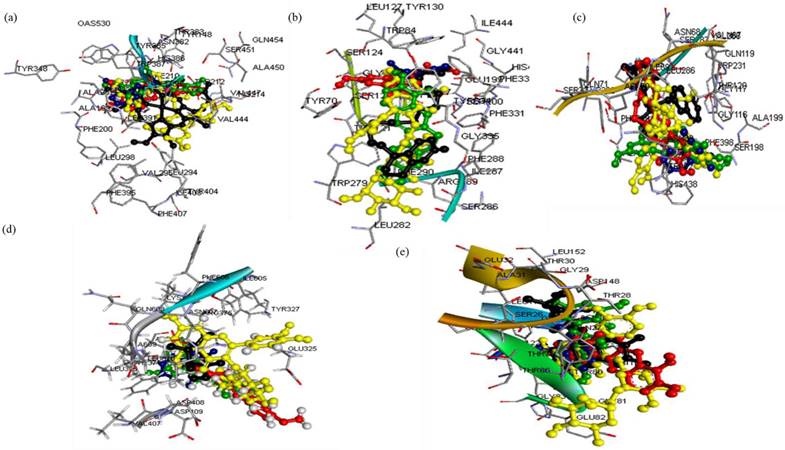 Int J Med Sci Image