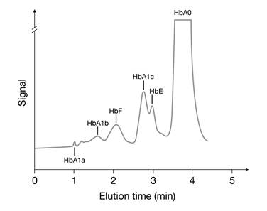 HPLC HbA1c -- Hinzmann et al. 2012 Int J Med Sci.