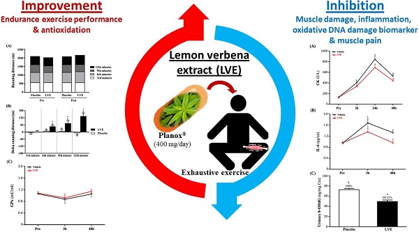 Evaluation Of The Efficacy Of Supplementation With Planox Lemon Verbena Extract In Improving Oxidative Stress And Muscle Damage A Randomized Double Blind Controlled Trial Abstract