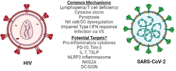 Understanding SARS-CoV-2-Mediated Inflammatory Responses: From Mechanisms  to Potential Therapeutic Tools