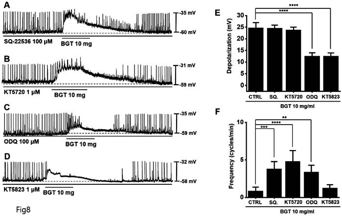 Int J Med Sci Image