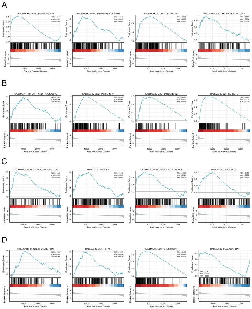 Int J Med Sci Image