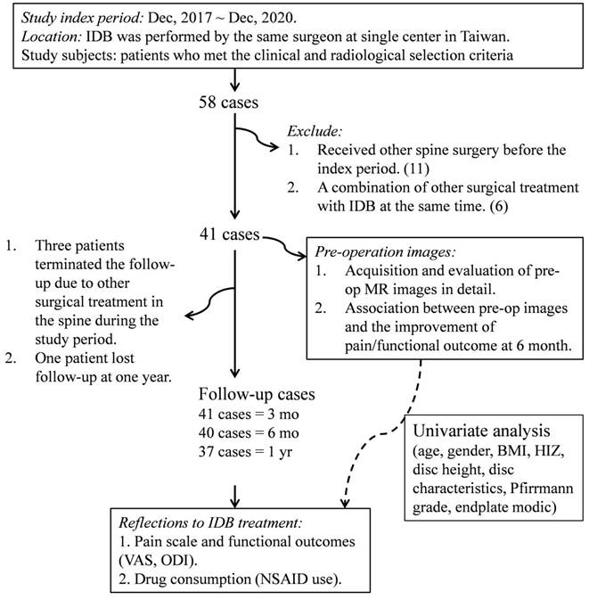 Int J Med Sci Image