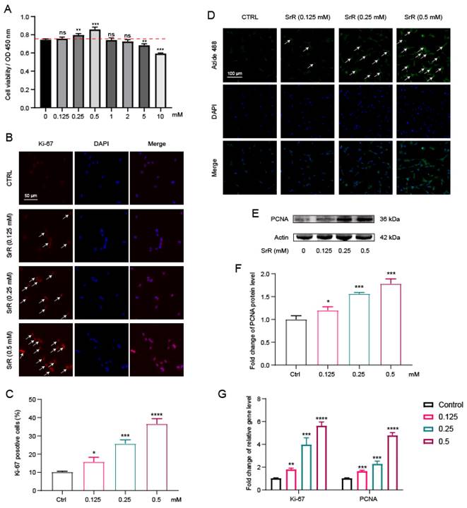 Int J Med Sci Image