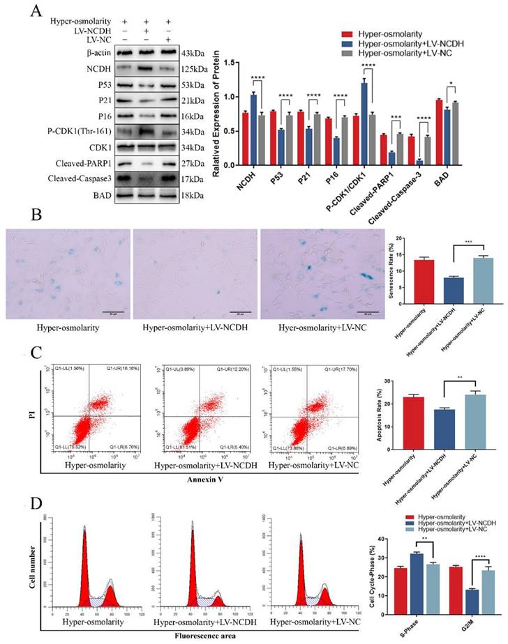 Int J Med Sci Image