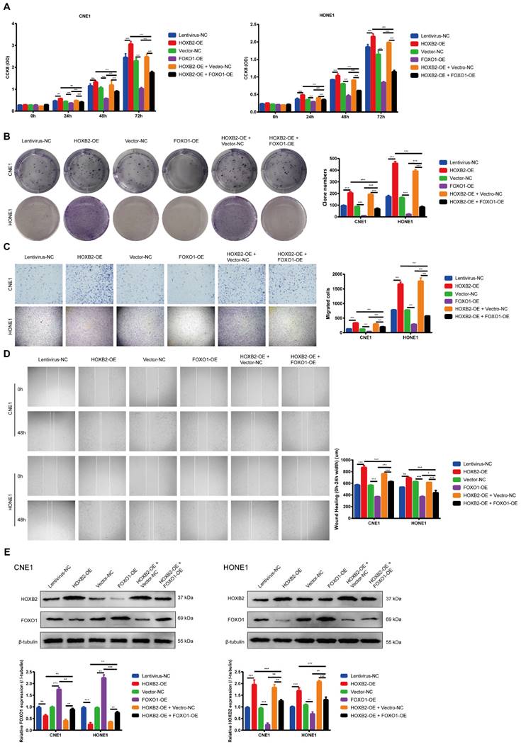 Int J Med Sci Image