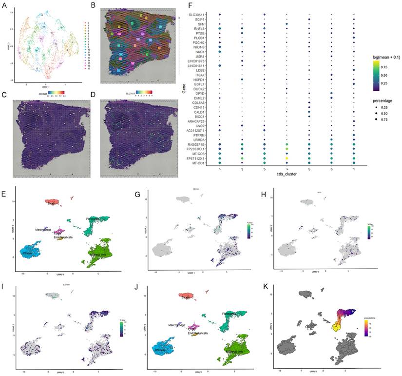Int J Med Sci Image