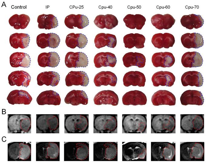 Int J Med Sci Image