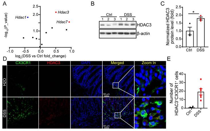 Int J Med Sci Image