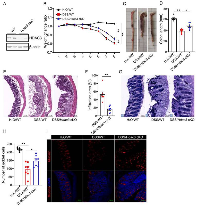 Int J Med Sci Image