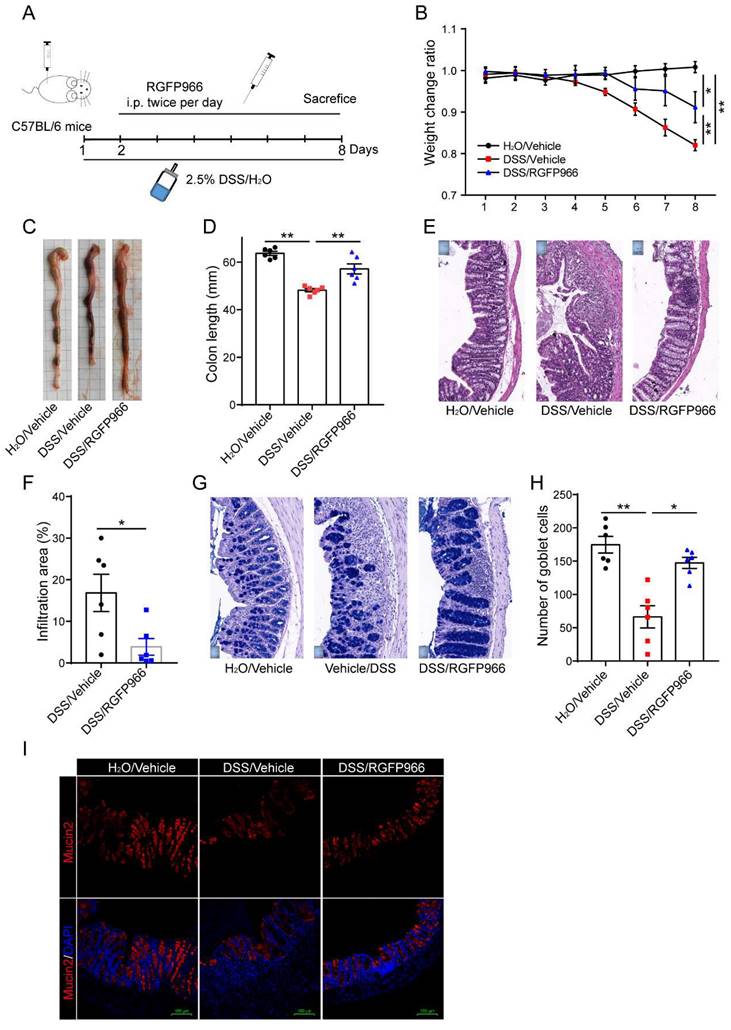 Int J Med Sci Image