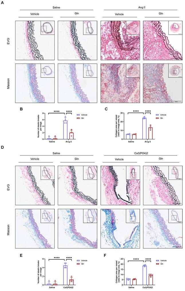 Int J Med Sci Image