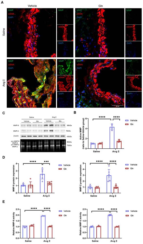 Int J Med Sci Image